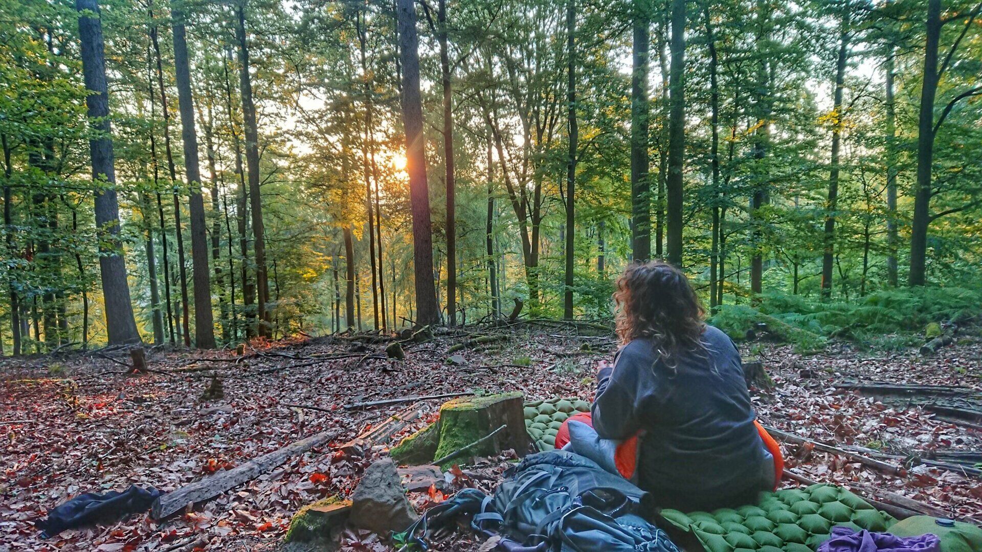 Featured image of post Draußen Schlafen