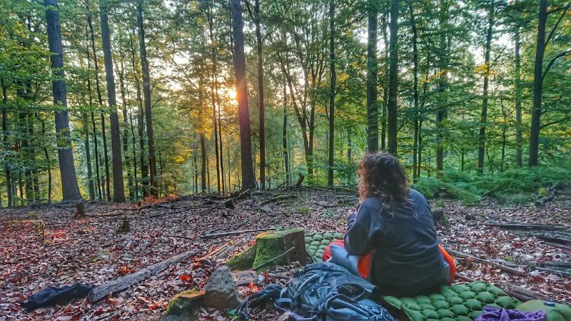 Featured image of post Draußen Schlafen