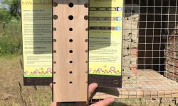 Featured image of post Beobachtungshilfe für Wildbienen „Beoka“ beim Insektenhotel