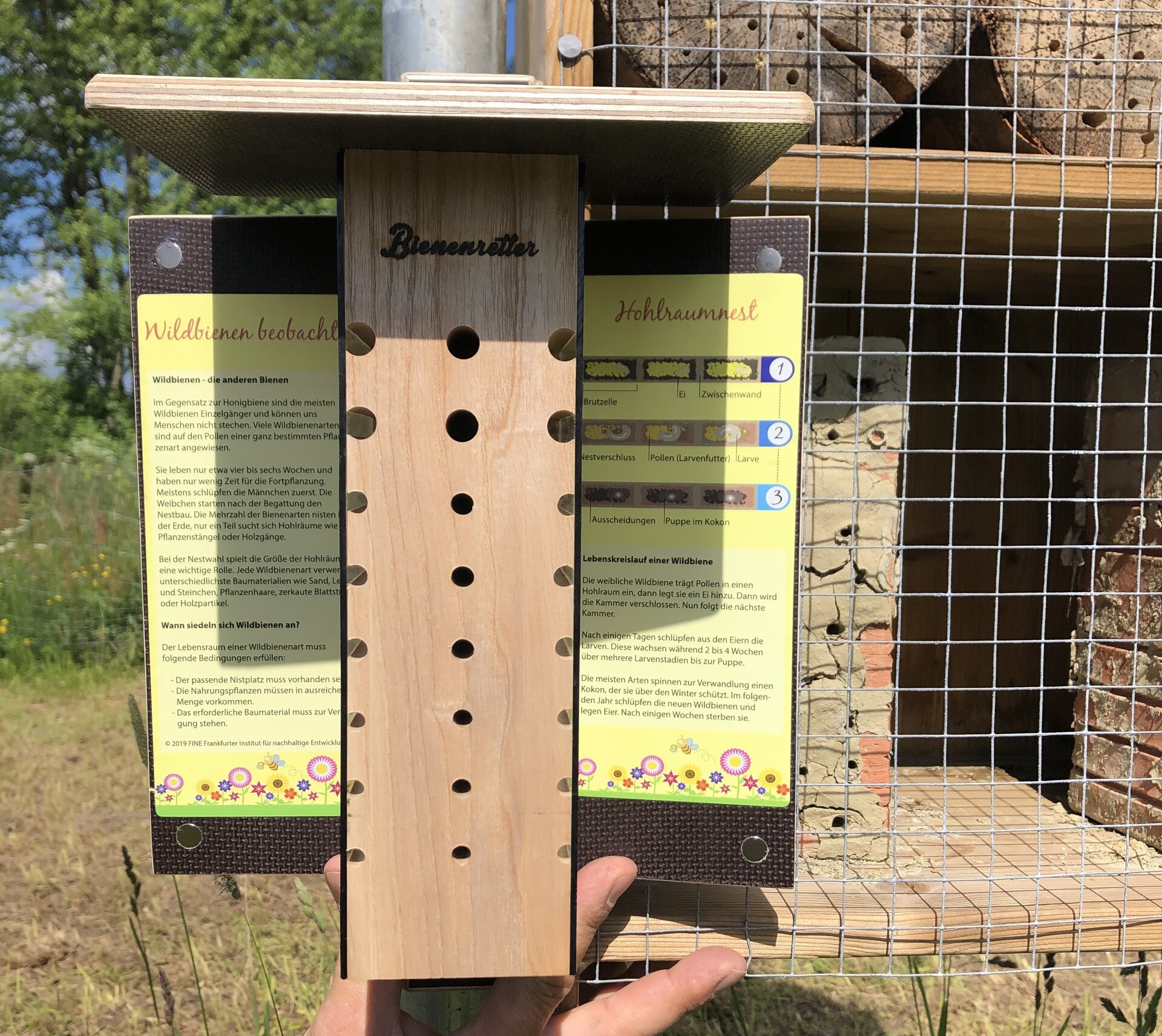 Featured image of post Beobachtungshilfe für Wildbienen „Beoka“ beim Insektenhotel