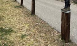 Featured image of post Christbaumsammlung 2024 - Danke