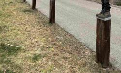 Featured image of post Christbaumsammlung 2024 - Danke