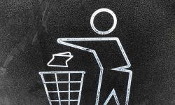 Featured image of post Rama Dama 2024